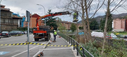 Imagen Operarios cortando un árbol desde la cesta