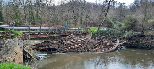Imagen Antes de los trabajos. Tapón vegetal en el puente del Regidorio