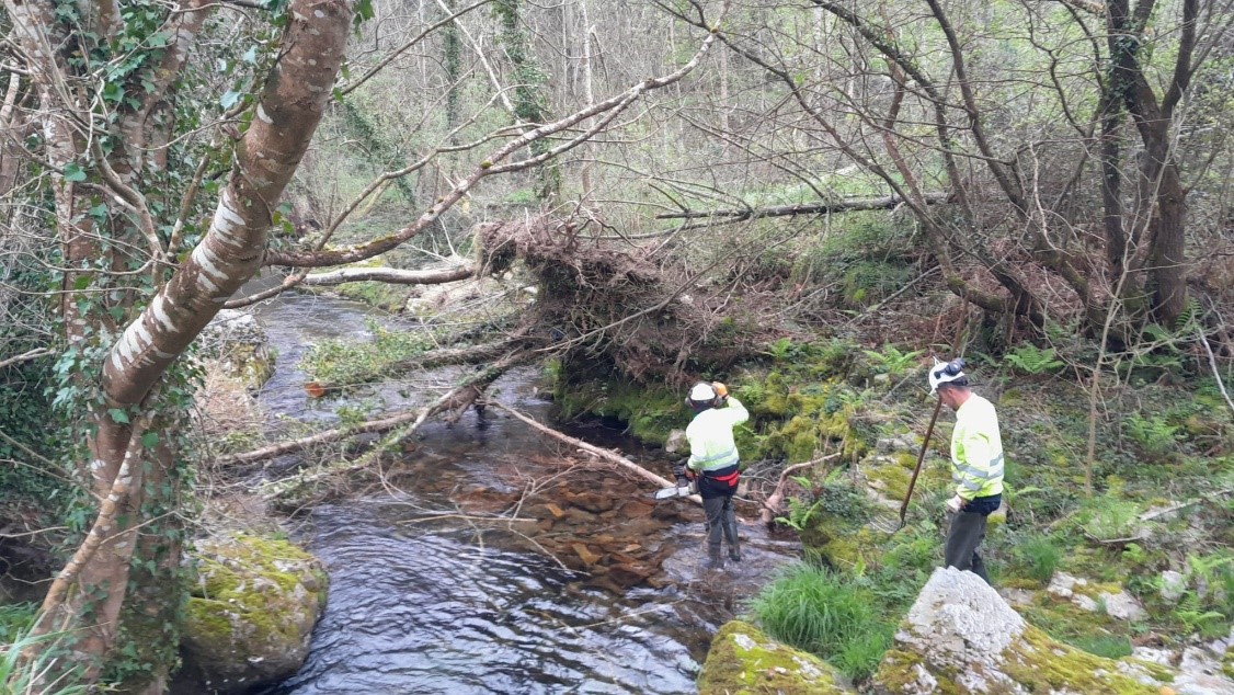 Imagen Operarios retirando restos vegetales del cauce del Porcía