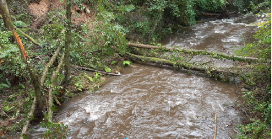 Imagen Antes de los trabajos. Árboles caídos perpendicularmente al cauce