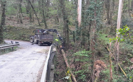 Imagen Durante los trabajos. Autocargador y operarios retirando árbol caído
