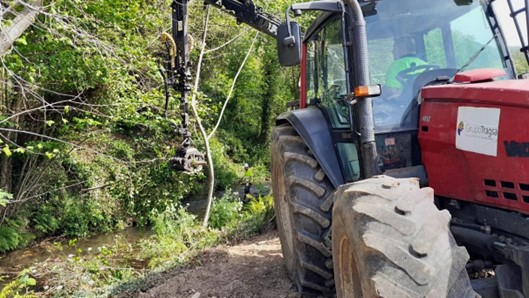 Imagen Durante los trabajos. Autocargador y operarios retirando restos vegetales