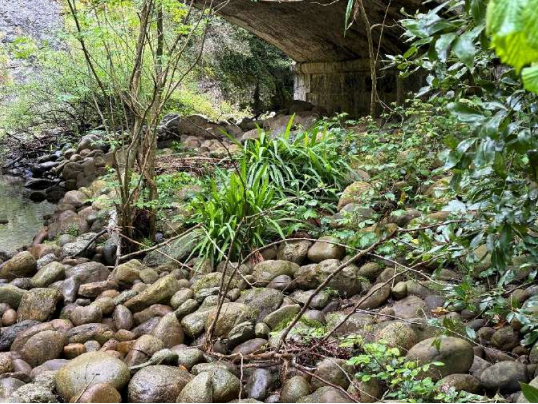 Imagen Acumulación de acarreos junto a un puente en las inmediaciones de San Roque de Riomiera