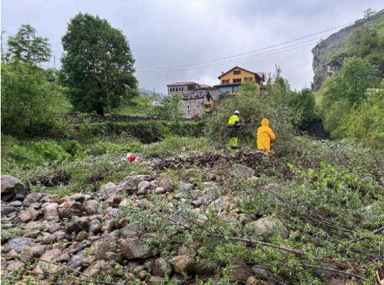 Imagen Retirada de la vegetación de la isla central del río Miera