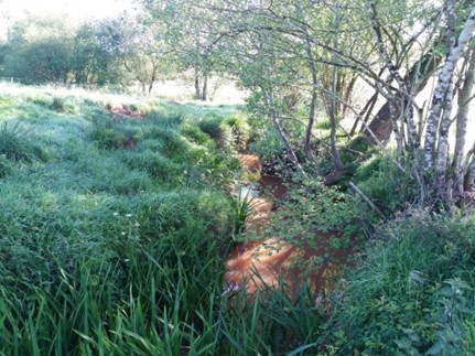Imagen Previo a la actuación se observa vegetación y tapones en el cauce del arroyo Bichurichas