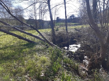 Imagen Previo a las actuaciones se observan varios árboles caídos en el cauce del arroyo del Cubo