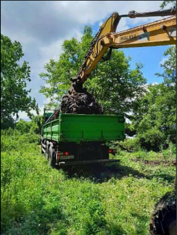 Imagen Retirada de restos vegetales con apoyo de maquinaria para traslado a gestor