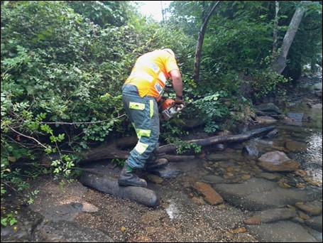 Imagen Trabajos de troceo de árbol caído en la margen del río Gándara