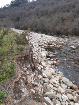 Imagen Previo a la actuación se observa el desprendimiento provocado por la incisión del cauce en la margen izquierda