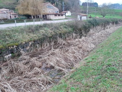 Imagen Previo a la actuación se observa exceso de vegetación y lodos en el canal