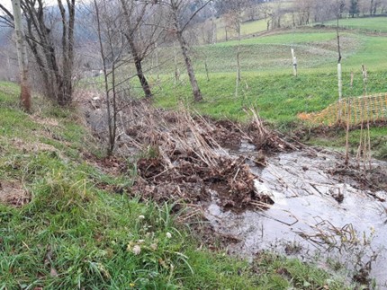 Imagen Previo a la actuación. Acumulación de lodos que dificulta el desagüe del canal