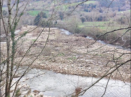 Imagen Previo a la actuación. Acumulación de acarreos en el río Pas