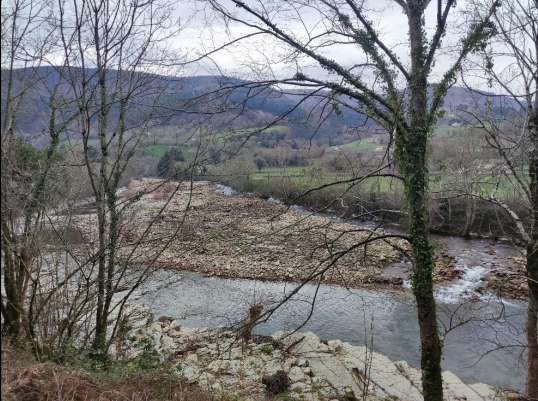 Imagen Previo a la actuación. Acumulación de acarreos formando una isla central en el cauce del río