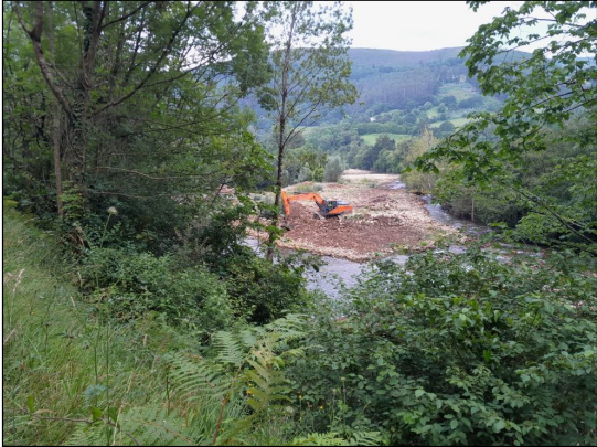 Imagen Vista general de los trabajos en la isla central del río Pas