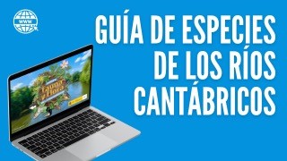Guía de especies