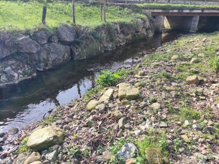 Imagen Previo a la actuación se observa la acumulación de acarreos de la margen derecha aguas abajo de la zona erosionada