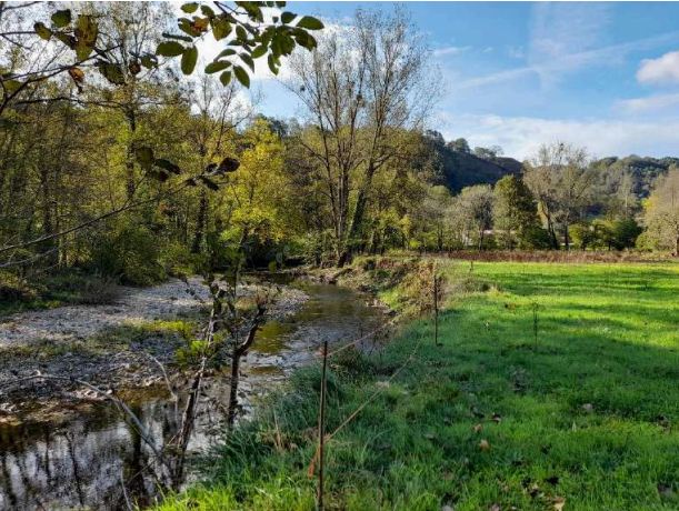 Imagen Antes de los trabajos. Margen erosionada