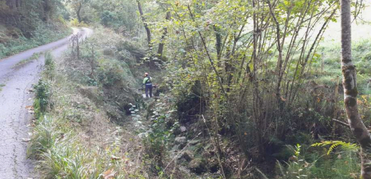 Imagen Operario desbrozando la vegetación dentro del cauce