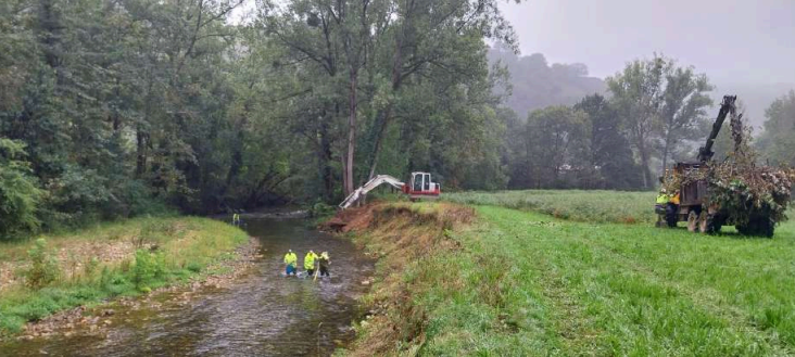 Imagen Operarios finalizando la pesca eléctrica, retro iniciando los trabajos y autocargador retirando restos