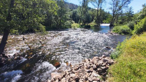 Imagen Desde aguas abajo del azud de la Cobrera, se observa el brazo generado tras las avenidas del año 2019