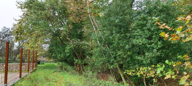 Imagen Antes de los trabajos en el Mascadoria.