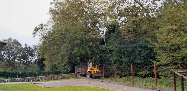 Imagen Durante los trabajos en el Mascadoria