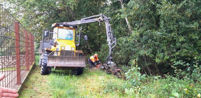 Imagen Durante los trabajos en el Mascadoria