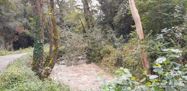 Imagen Antes de los trabajos en el Ereba