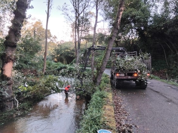 Imagen Durante los trabajos en el Ereba