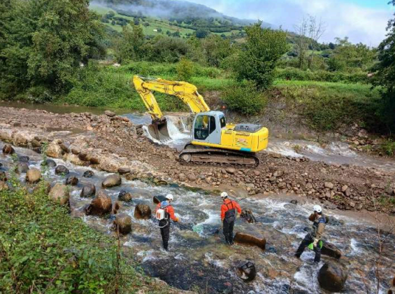 Imagen Durante los trabajos de rescate de peces