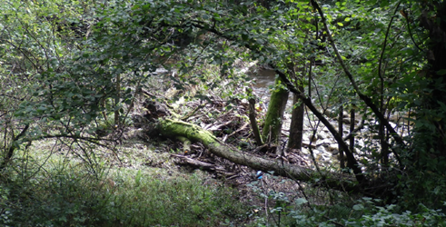 Imagen Antes de los trabajos