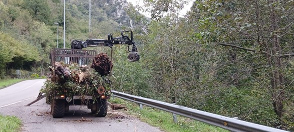 Imagen Autocargador retirando restos vegetales