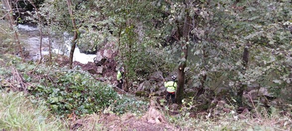 Imagen Operarios retirando restos vegetales