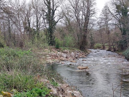 Imagen Previo a la actuación se observa la erosión formada en la escollera de la confluencia del río Besaya con el ramal conocido como río Chico