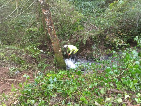 Imagen Operario retirando restos vegetales