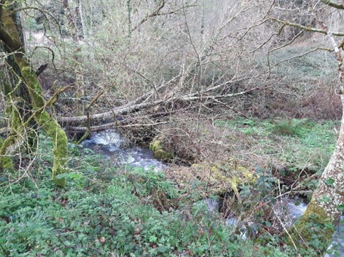 Imagen Situación antes de las actuaciones