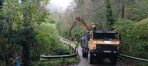 Imagen Retirada de restos vegetales