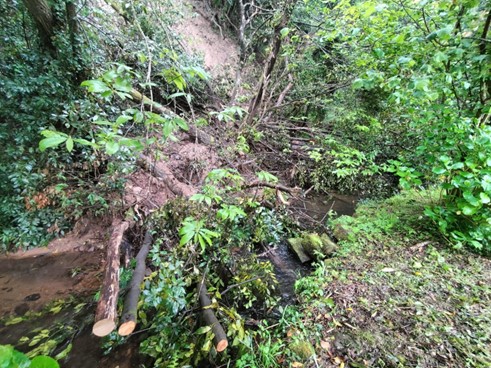 Imagen Antes de los trabajos. Argayo con restos vegetales depositado en el cauce