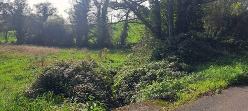 Imagen Antes de los trabajos