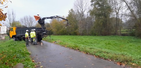 Imagen Operarios cortando árbol caído para transportar a vertedero en el río Cubia