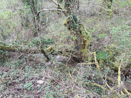 Imagen Antes de las actuaciones