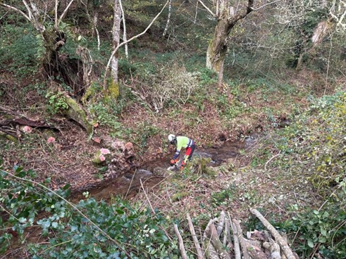 Imagen Operarios retirando restos vegetales