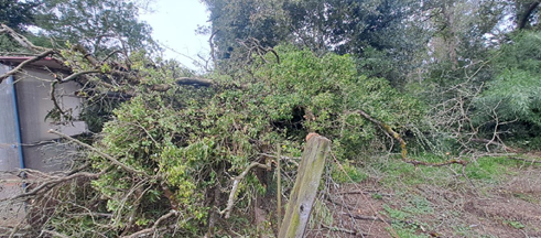 Imagen Antes de los trabajos