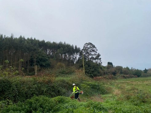 Imagen Labores de conservación