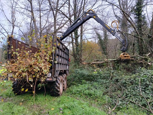 Imagen Retirada de restos vegetales