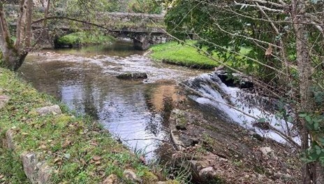 Imagen 4. Eliminación del azud del río Tendi, en Piloña (Asturias)