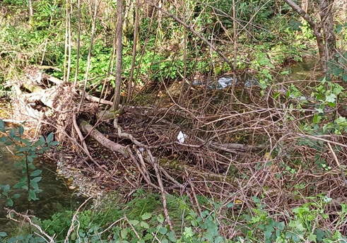 Imagen Antes de los trabajos