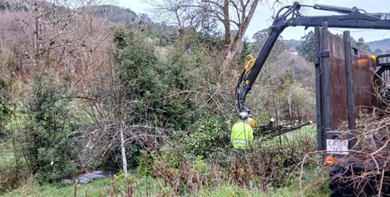 Imagen Durante los trabajos. Operarios retirando restos vegetales
