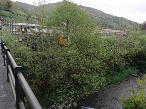 Imagen Antes de los trabajos