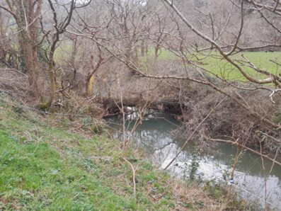 Imagen Árbol de grandes dimensiones caído sobre el cauce del río Clarín